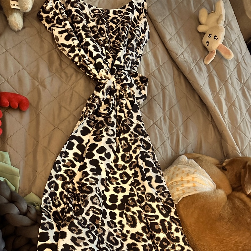 Beautifully belted (can be removed) dress for any event